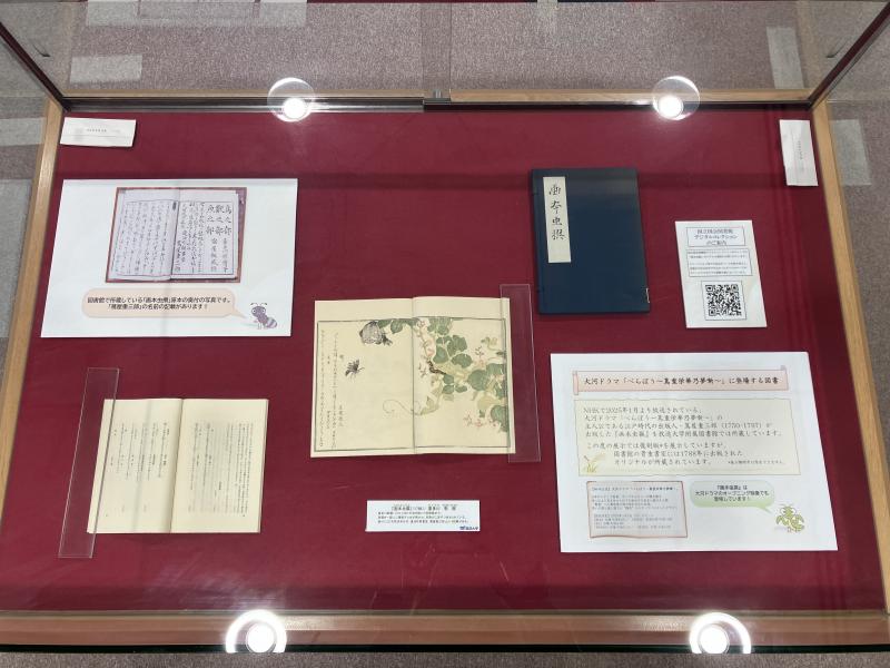 『画本虫撰』の展示