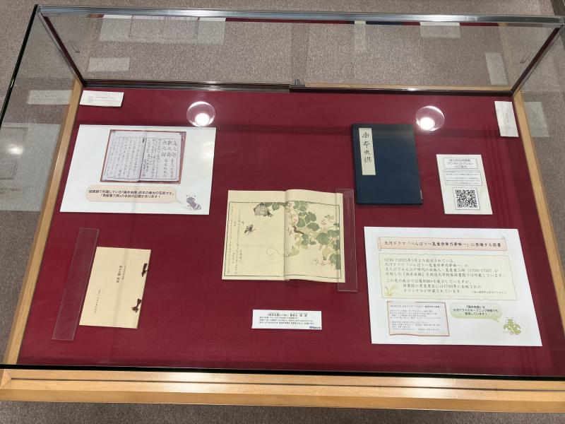 『画本虫撰』の展示